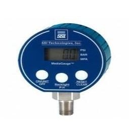 MG-3000-A-9V-R Digital Pressure Gauge: Datasheet, Features, Application