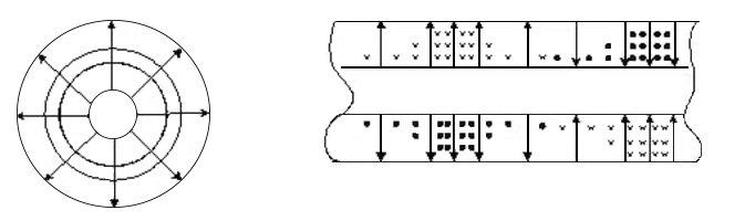 field distribution