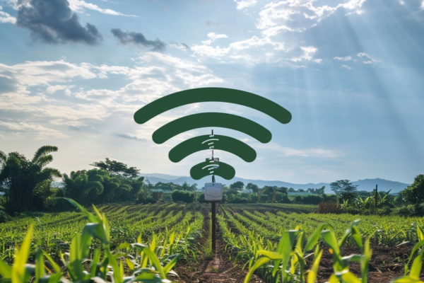 Impact of IoT and WSN Integration on Productivity and Sustainability