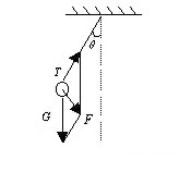 Schematic diagram of solid pendulum