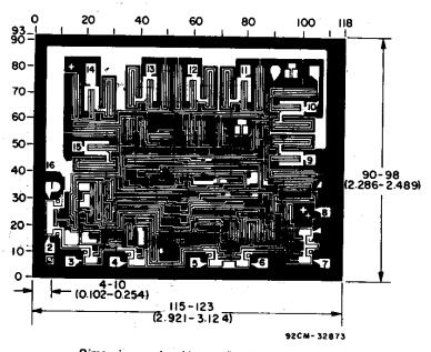 chip dimensions and layout.jpg chip dimensions and layout.jpg