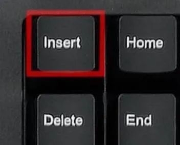 insert.jpg
