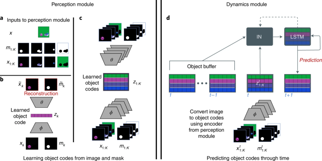 DeepMind Building AI That Thinks Like a Baby May Help Build Computer Models With Human Minds3.png DeepMind Building AI That Thinks Like a Baby May Help Build Computer Models With Human Minds3.png