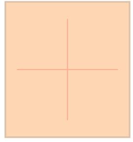 43025-0800 Footprint.jpg