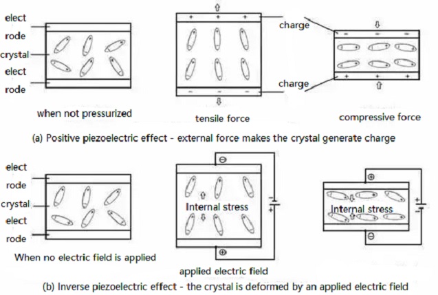 Figure. 2.jpg