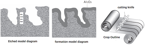 Figure. 5.png
