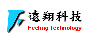 Feeling